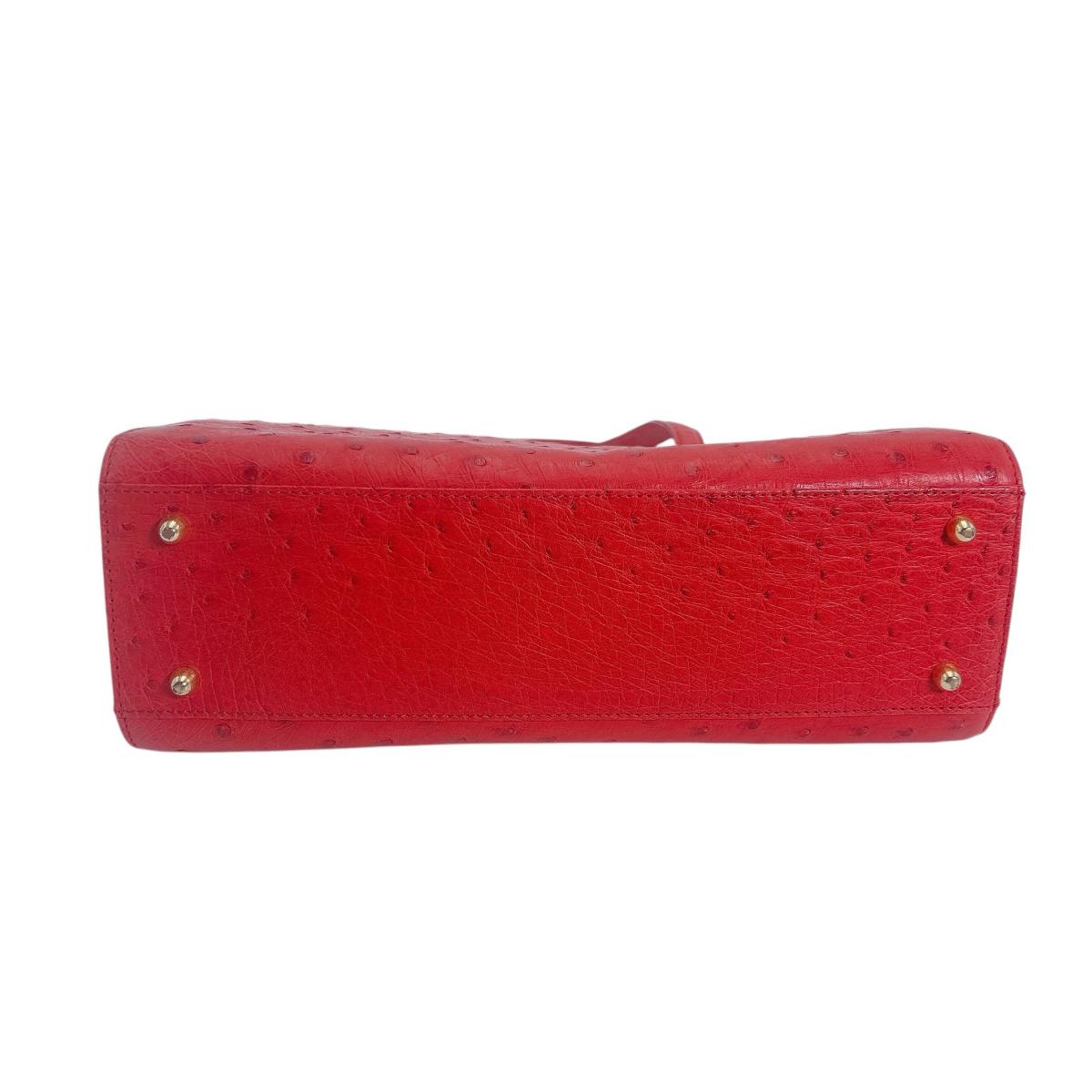 オーストリッチ ostrich ハンドバッグ
ハンドバッグ オーストリッチ レッド 【H】
【中古】