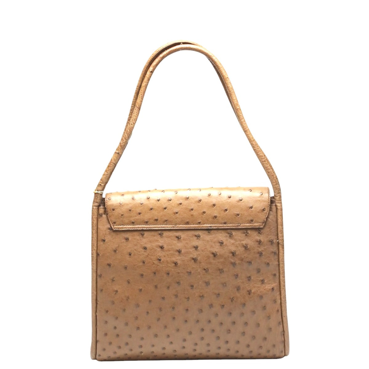 オーストリッチ ostrich ハンドバッグ
ハンドバッグ フルポイント オーストリッチ ブラウン 【SS】
【中古】