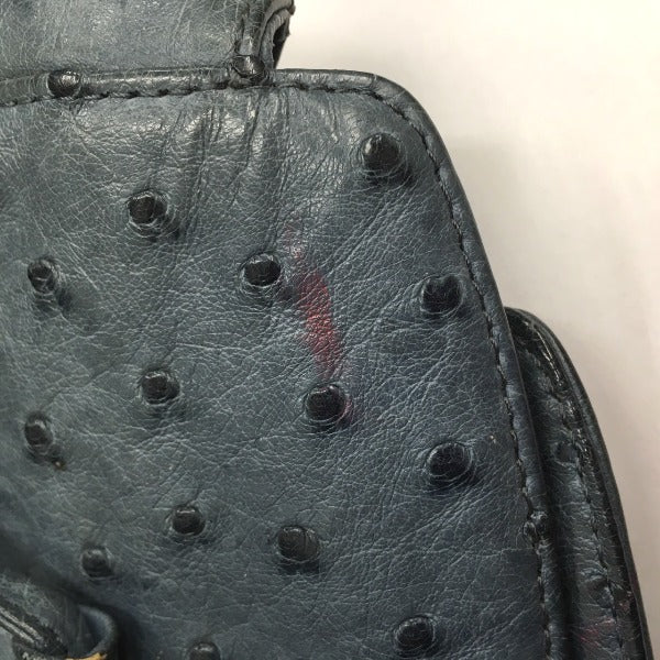 オーストリッチ ostrich ハンドバッグ
オーストリッチ ブルー 【SS】
【中古】