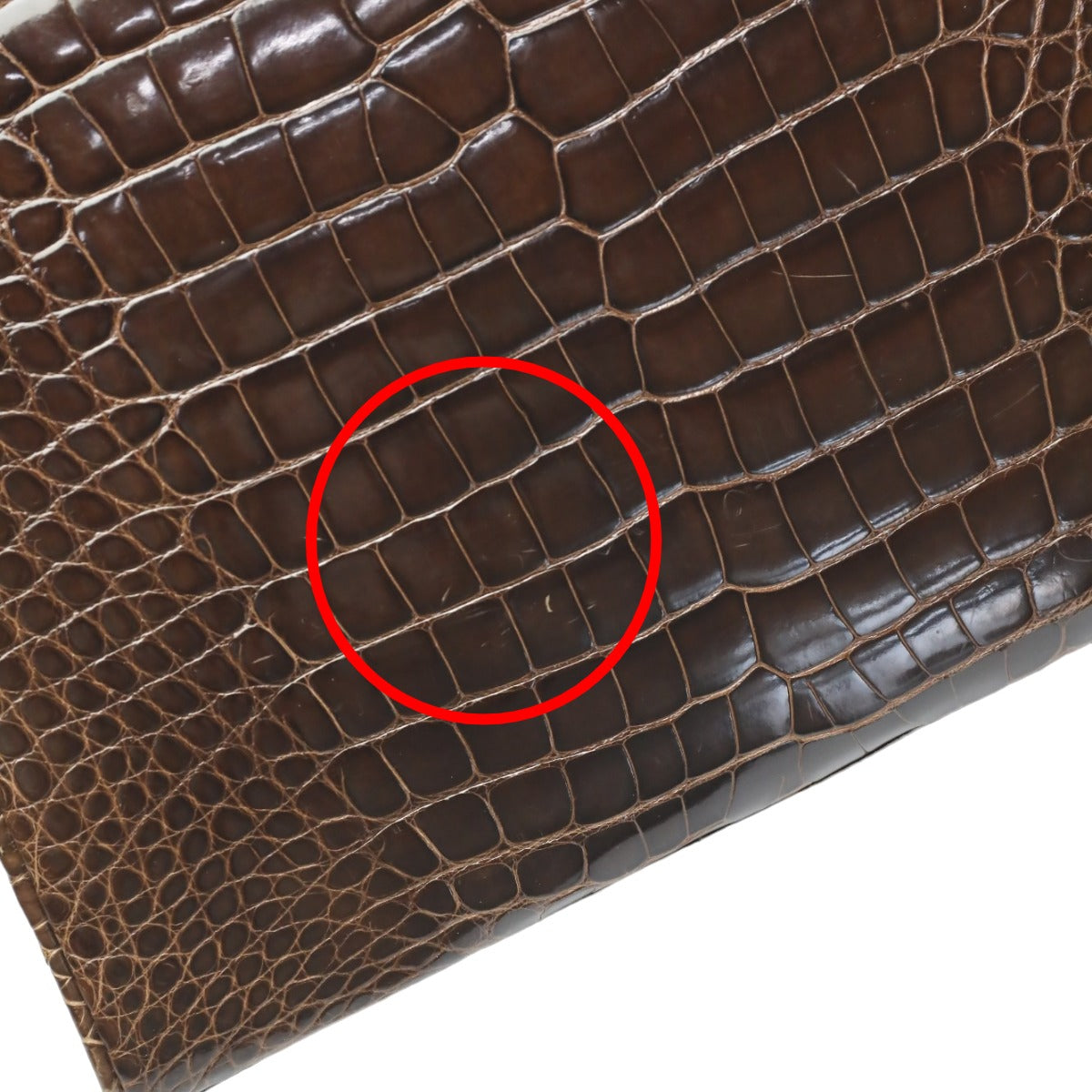 クロコダイル CROCODILE ハンドバッグ
ハンドバッグ 鍵ターンロック シャイニング クロコダイル ブラウン 【H】
【中古】