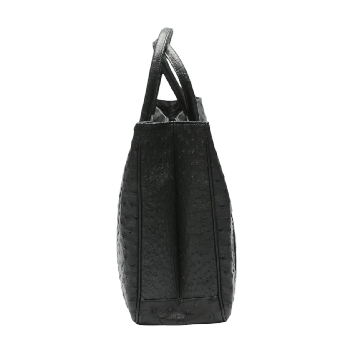オーストリッチ ostrich ハンドバッグ
ハンドバッグ 黒×GP フルポイント オーストリッチ ブラック 【SS】
【中古】