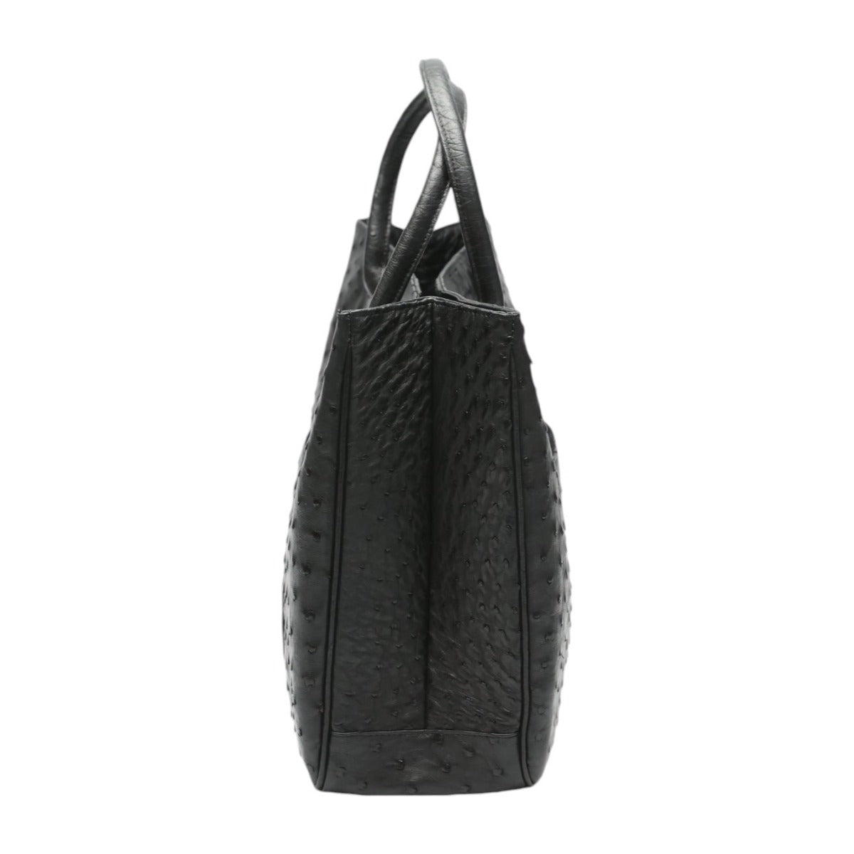 オーストリッチ ostrich ハンドバッグ
ハンドバッグ 黒×GP フルポイント オーストリッチ ブラック 【SS】
【中古】