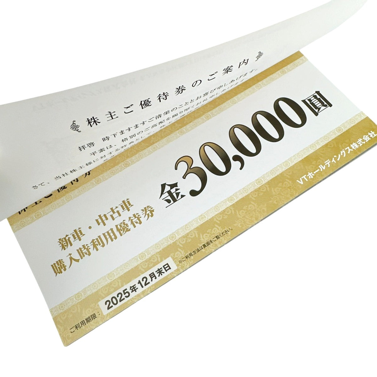 金券
VTホールディングス 1冊 株主ご優待券