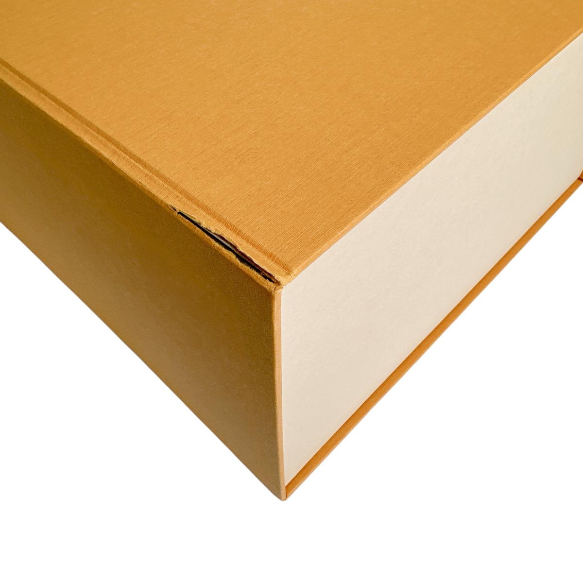 ルイヴィトン LOUIS VUITTON ショルダーバッグ
 ショルダーバッグ モノグラムアンプラント スピーディ･バンドリエール20 モノグラムアンプラント M46575 トゥルトレールクレーム LV
 【中古】