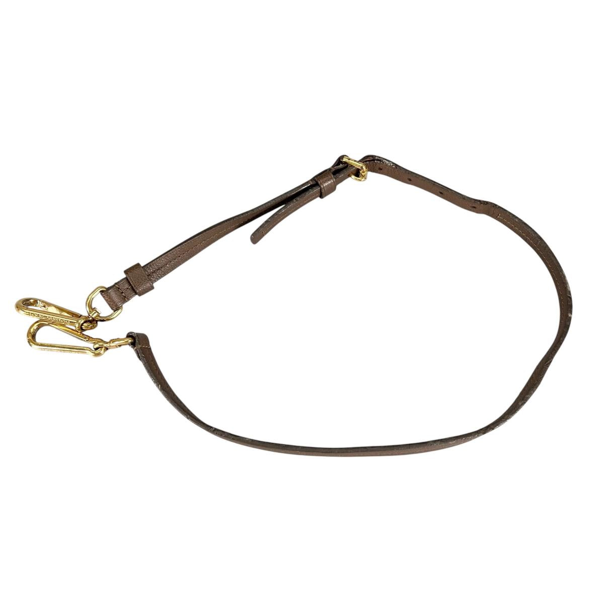 ルイヴィトン LOUIS VUITTON ハンドバッグ
 2wayショルダーバッグ テール ルミニューズPM モノグラムアンプラント M94170 ブラウン LV
 【SS】
 【中古】