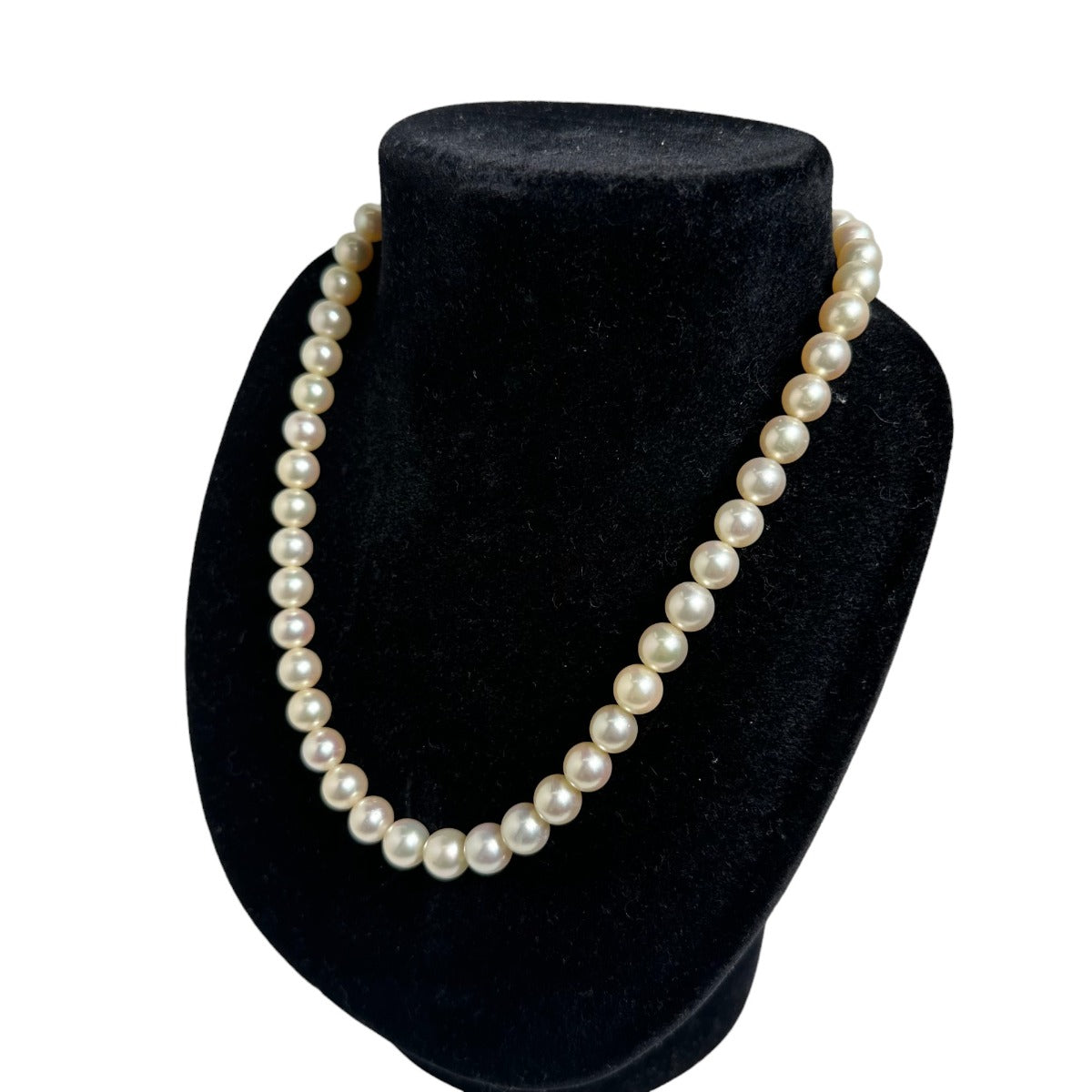 TASAKI Necklace
 Pearl P approx. 7.7~8.5mm K14 White Pearl [SS]
 【second hand】 