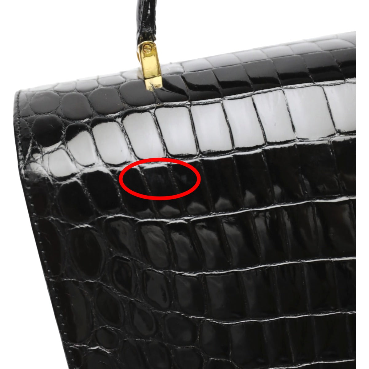 Crocodile handbag
 Handbag Shining Crocodile Black [H]
 【second hand】 